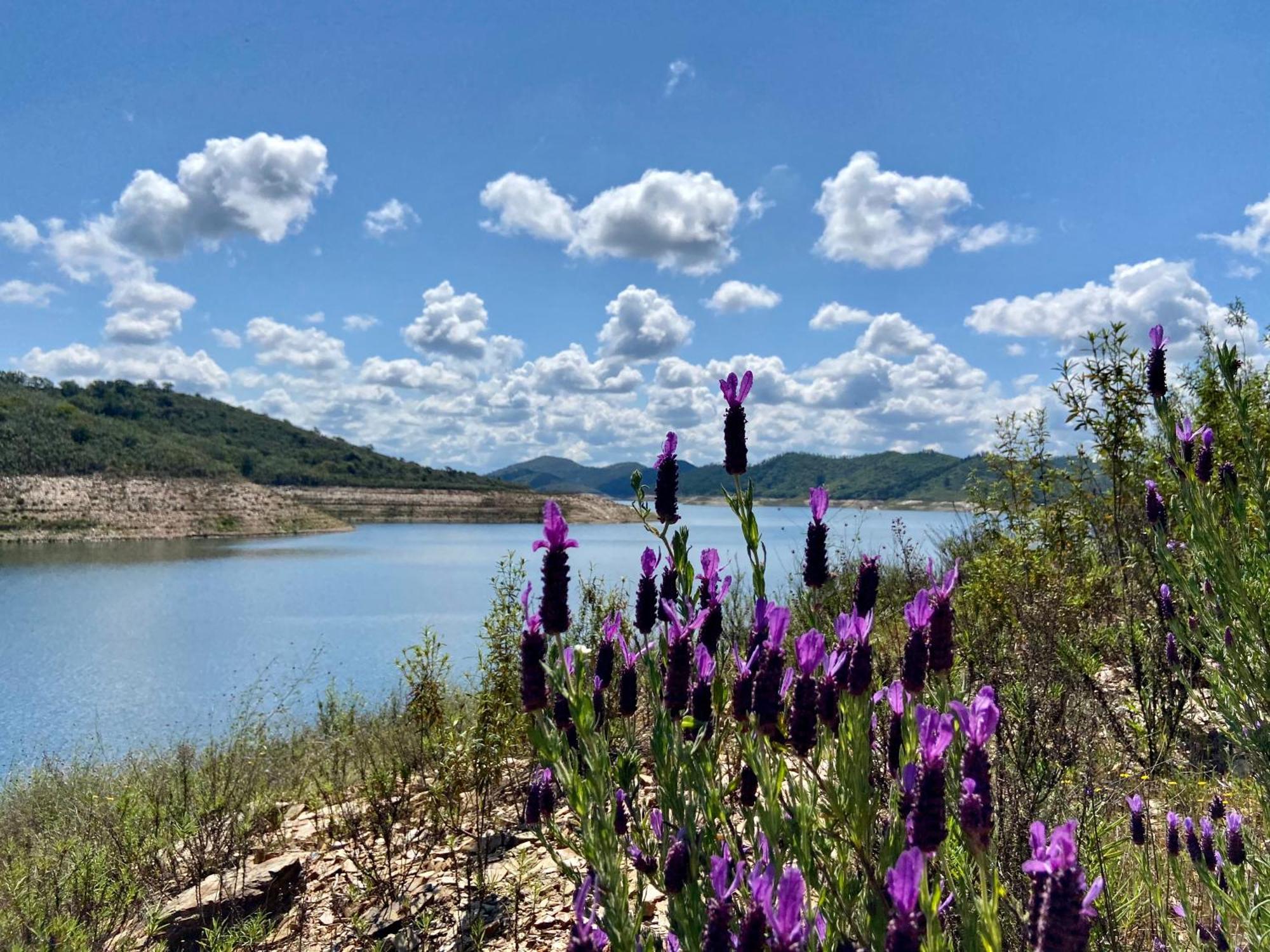 Poioruivo Villa Santa Clara-a-Velha Dış mekan fotoğraf